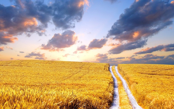 Country path