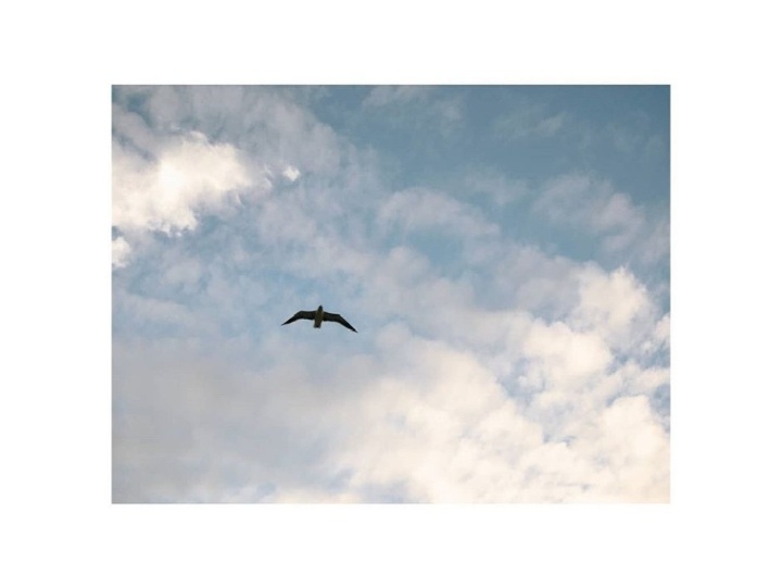 Time to Fly