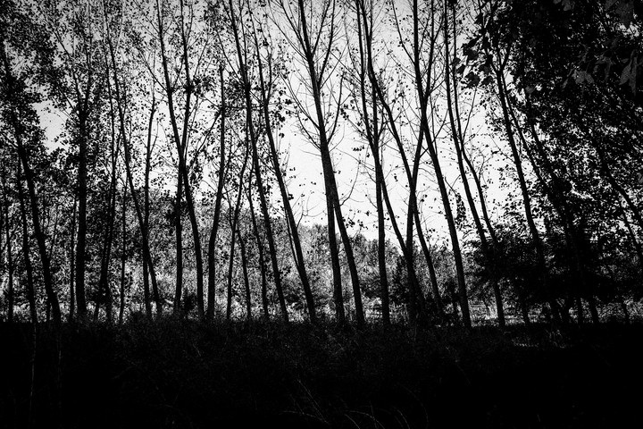 Black Autumn