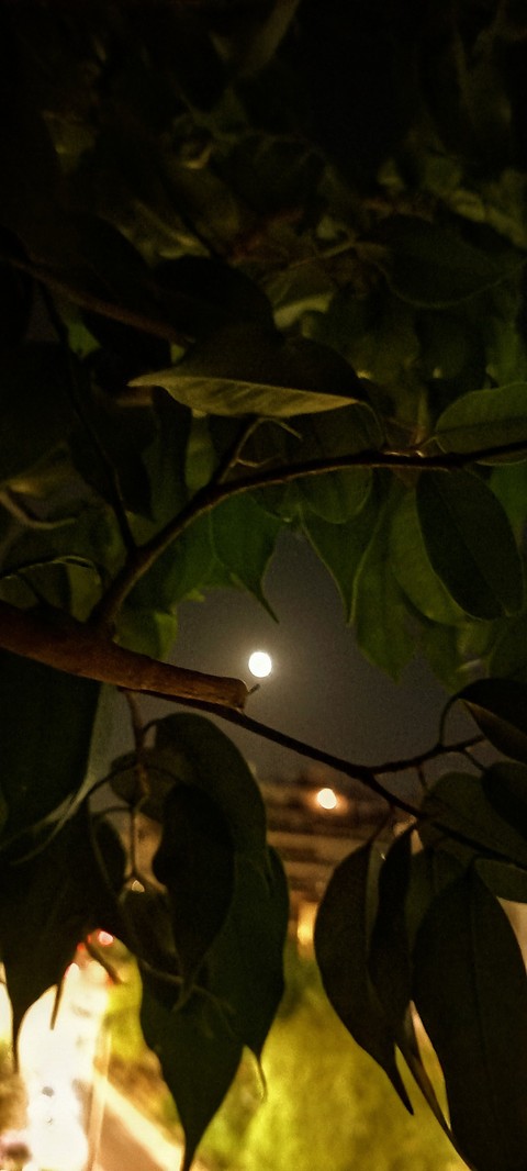 FullMoon, moon háttérképek