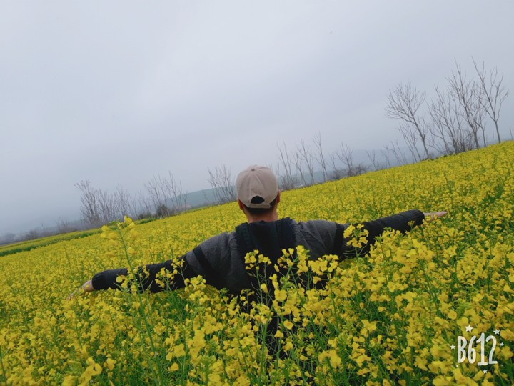 #farm