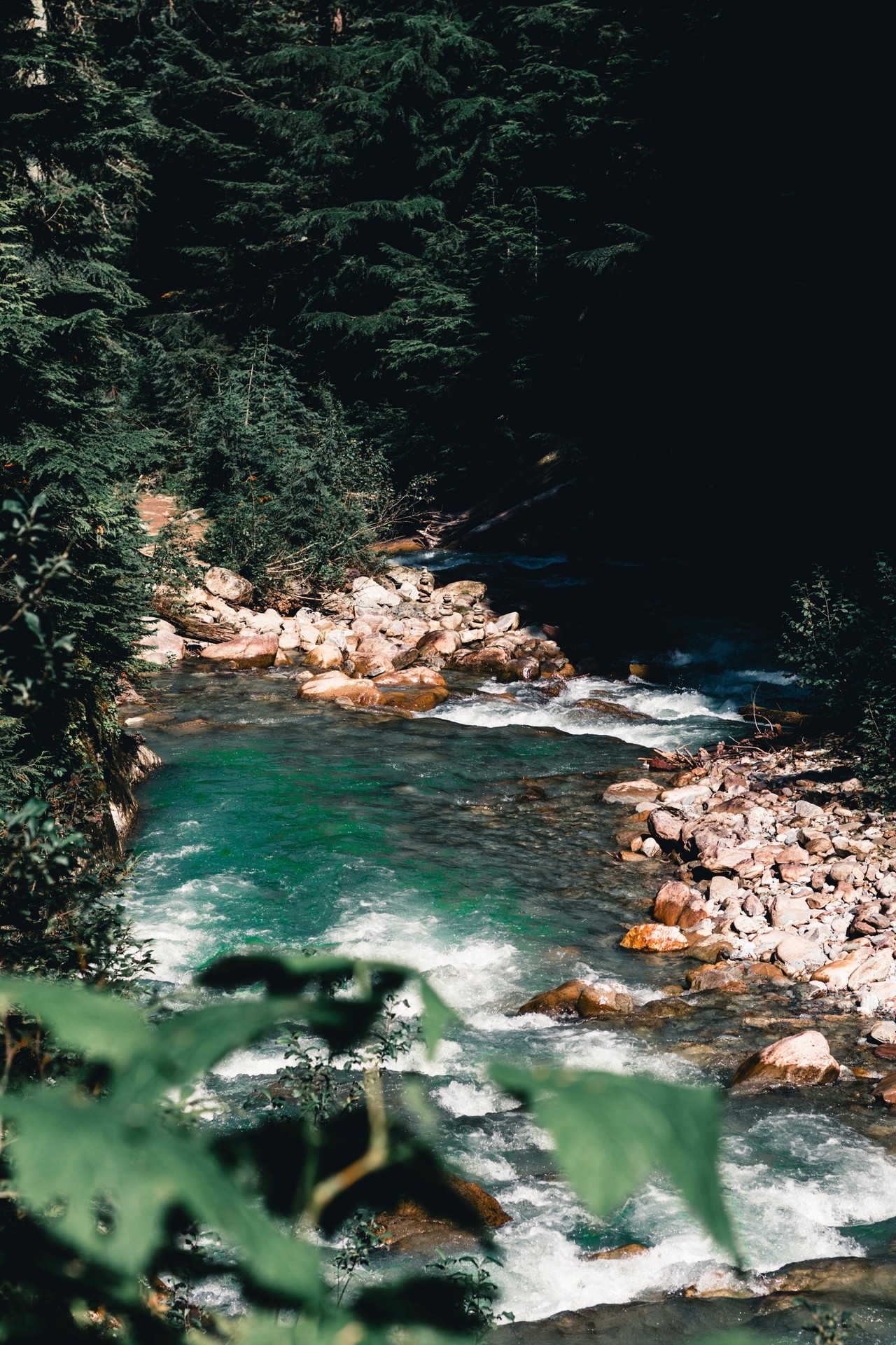 Wilderness, nature duvar kağıtları