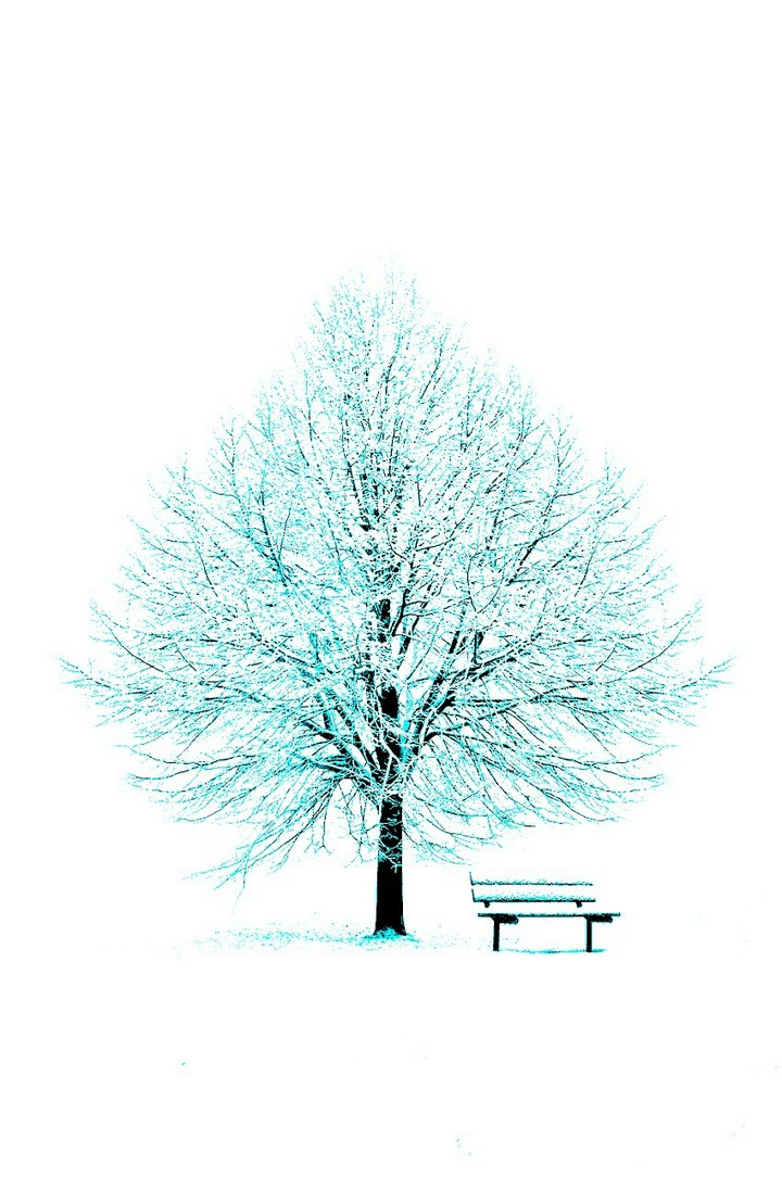 icy tree