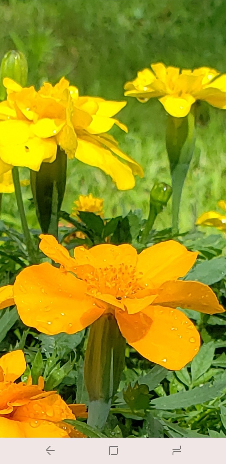 After the Rain
