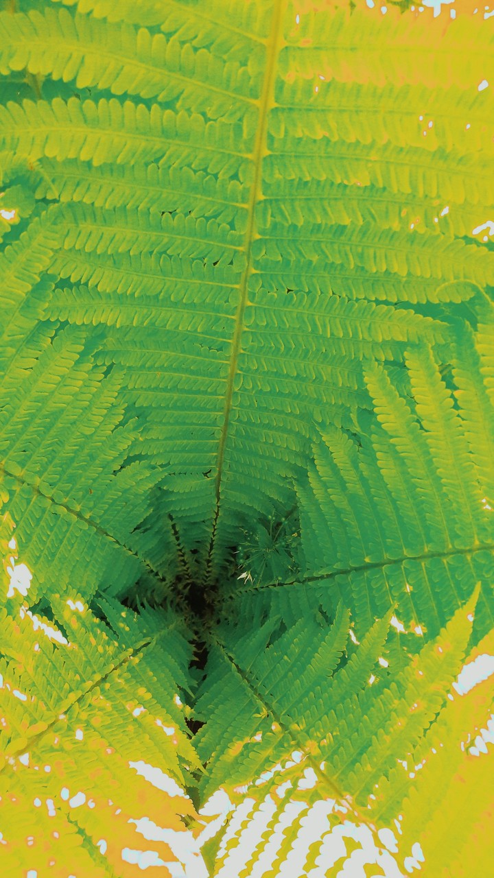 green