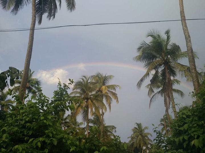 rainbow