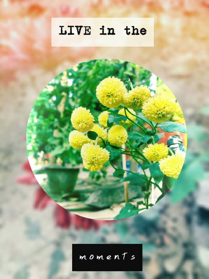 Live in the moments 