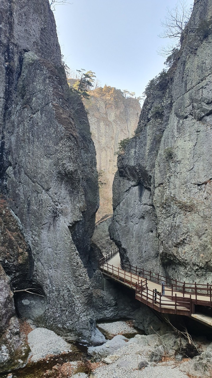 산