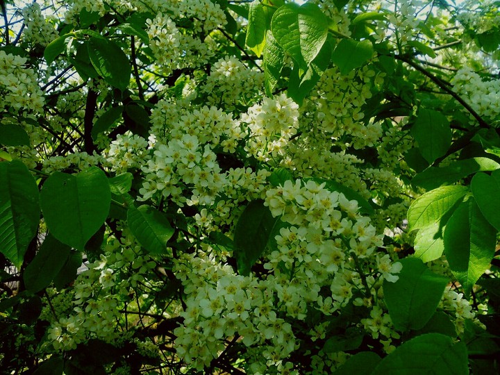 nature at its best