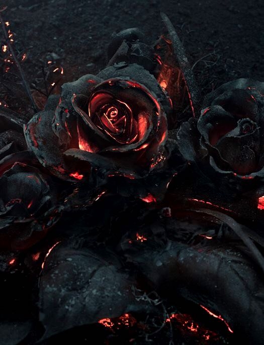 Fire Roses