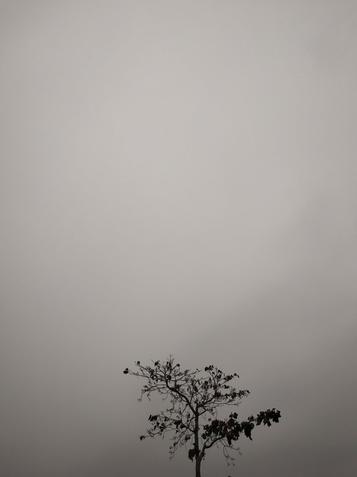just nature