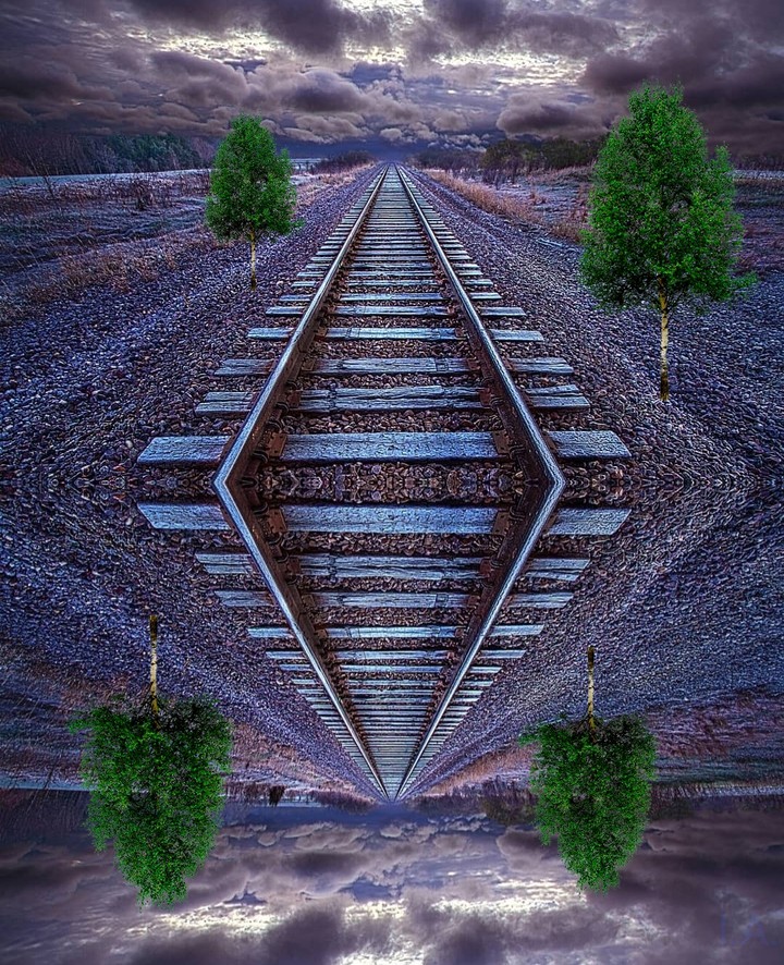 interesting collage ...