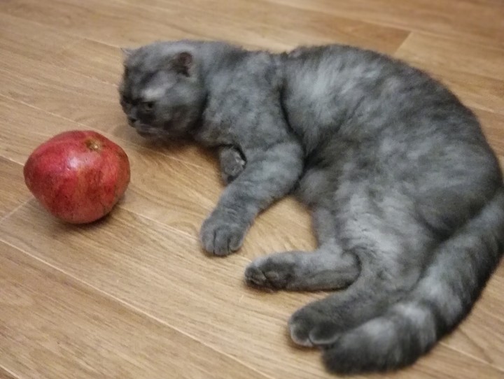 Вкусно?