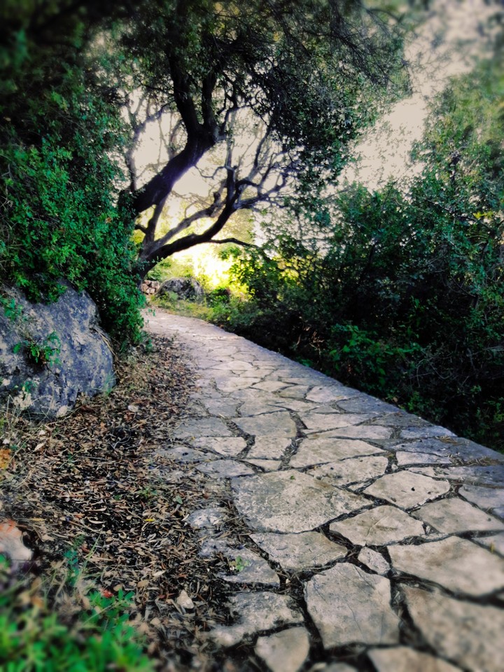 The magical path!