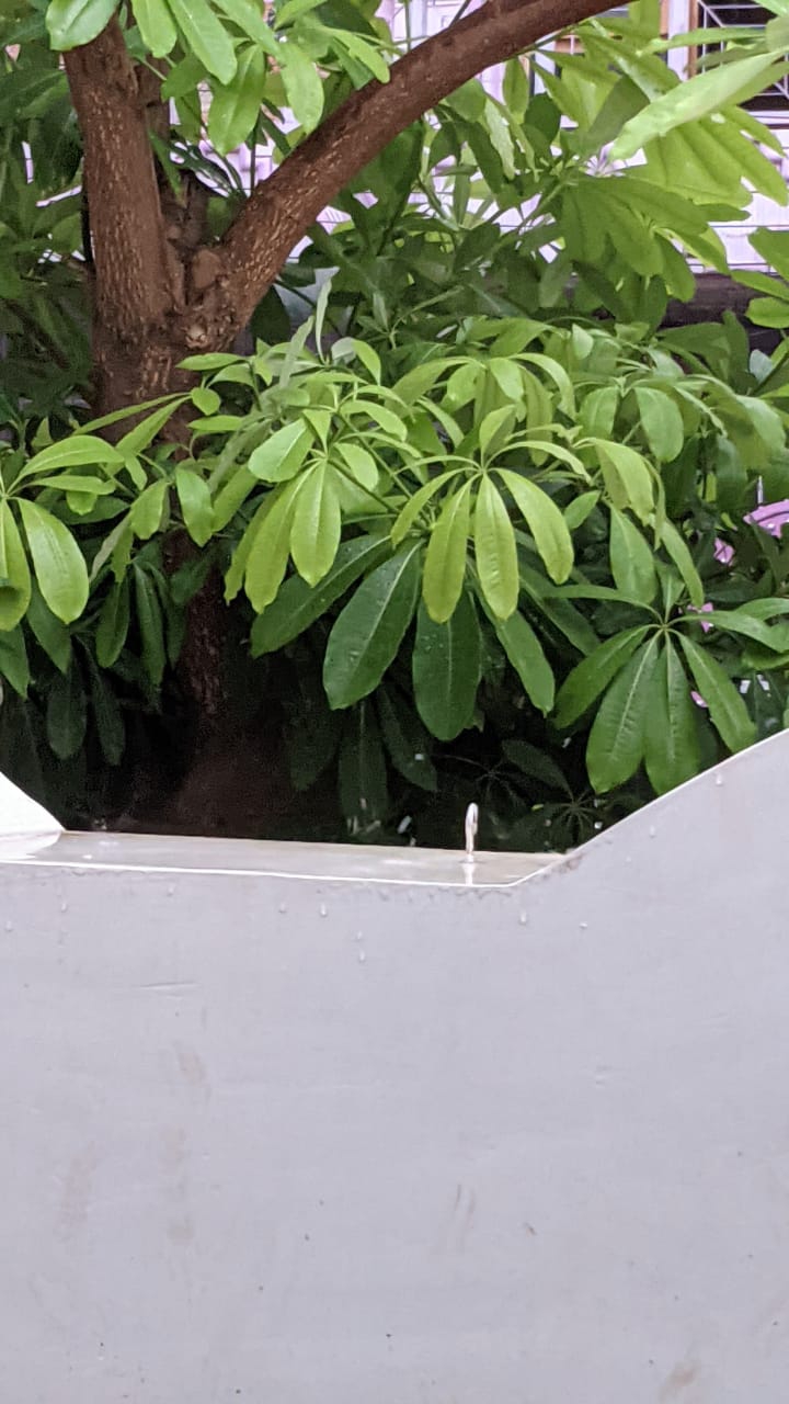 It's raining