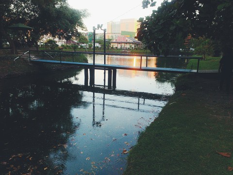 The Bridge