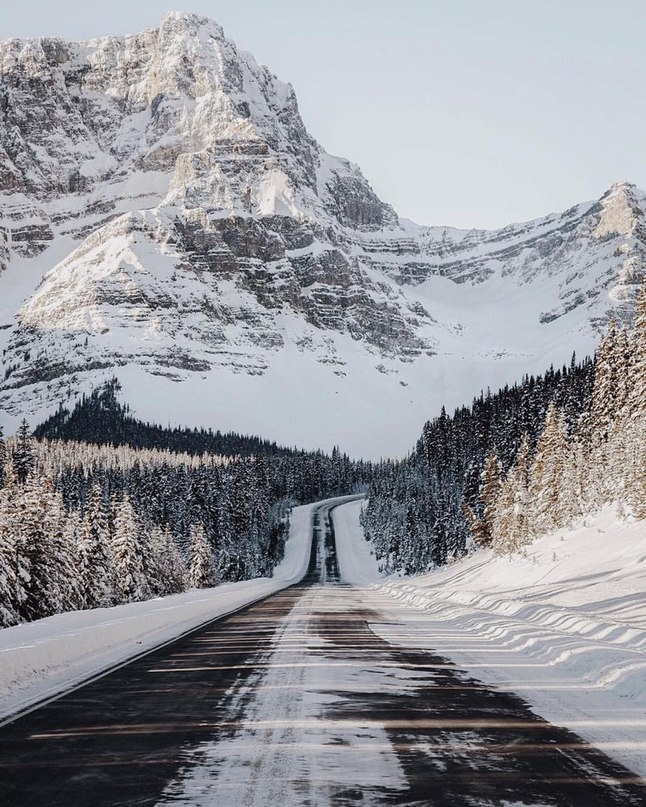 winter