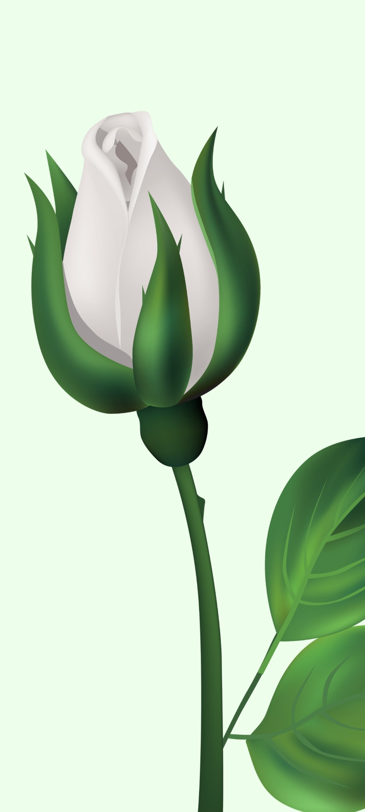 Flower series '03'