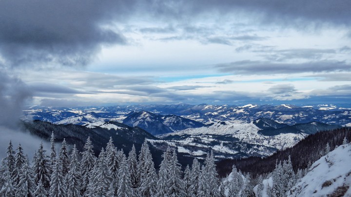 Winter