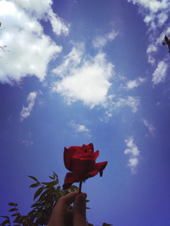 sky is my favorite