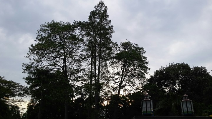 Evening