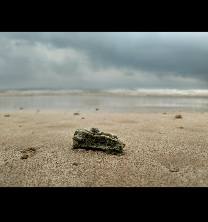 on shore