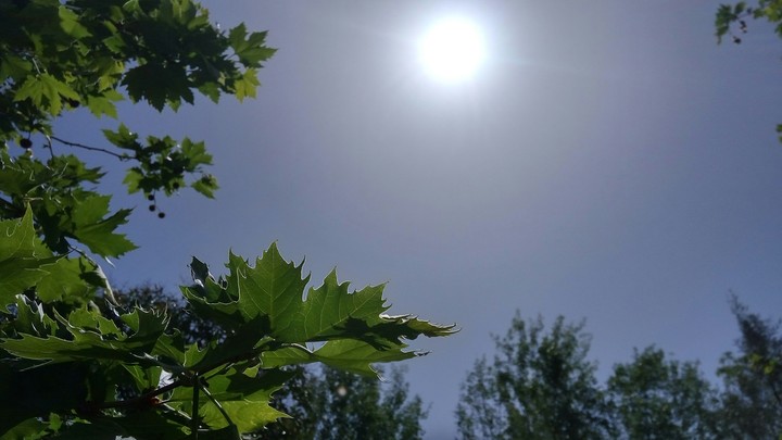 the warm sun