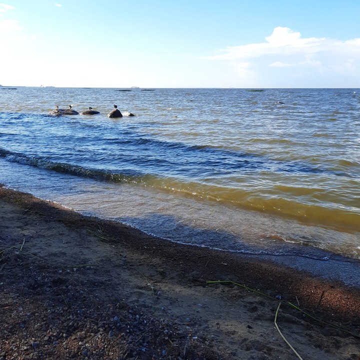 seaside