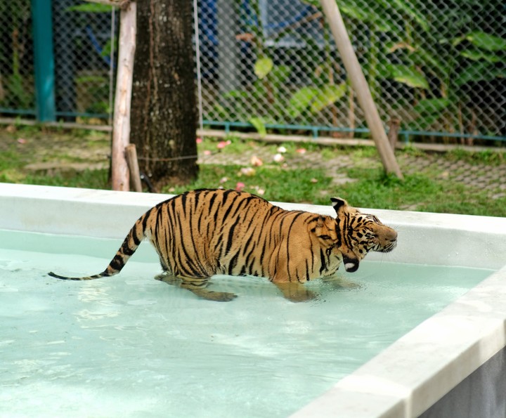 i dont know why i get wet when i play with water