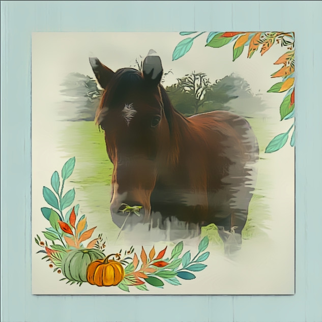 Country Pumpkin