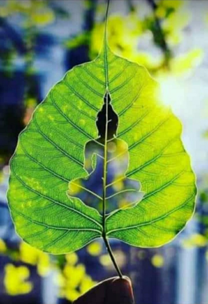 load buddha