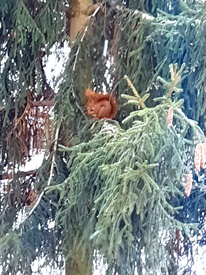 nature