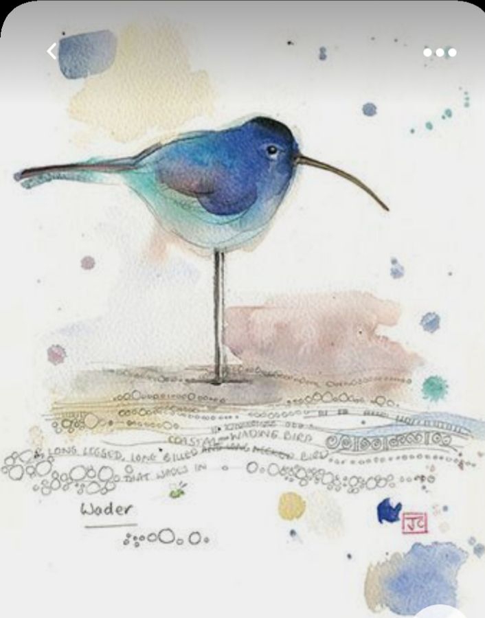 Bird with long beak