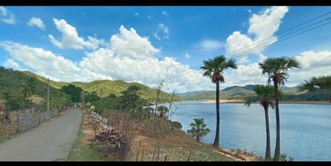 Beautiful Nature ?
