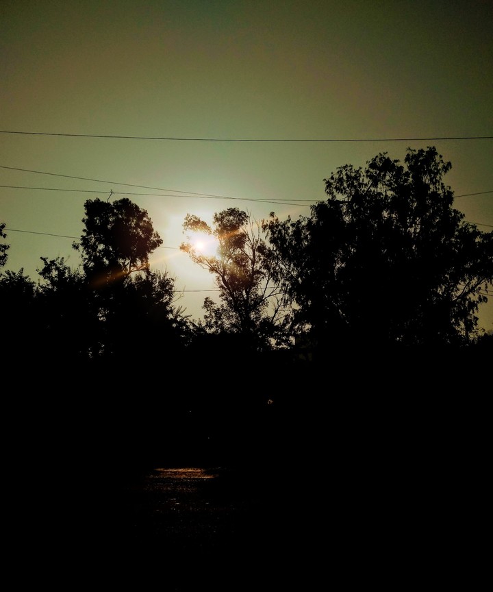 sunrise