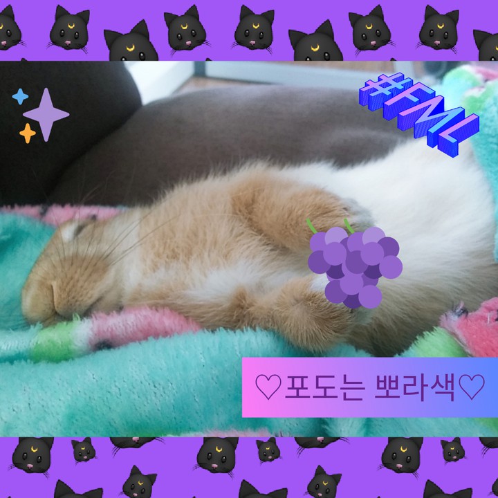 포도♡