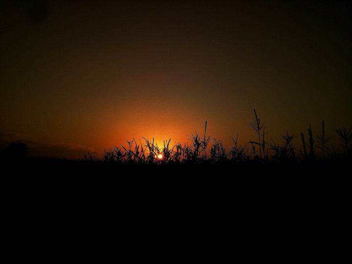 sky
