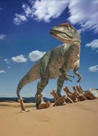 .
