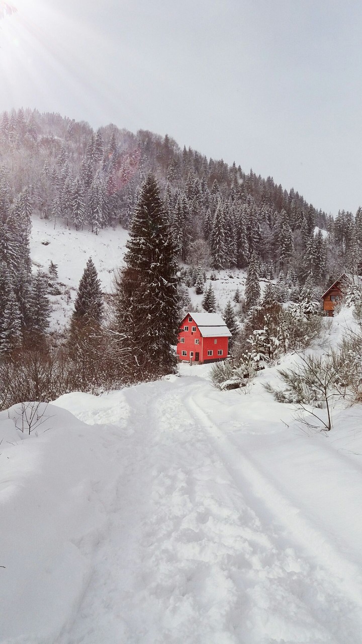 the little red house on a snowy hill