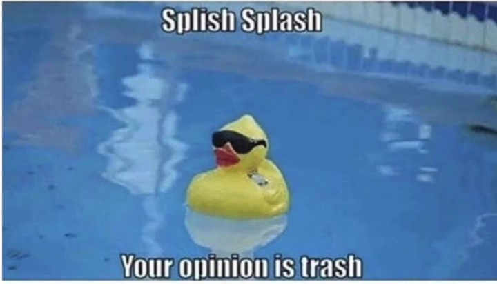 Splish Splash