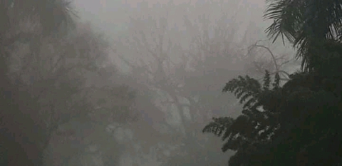 mist covers Kampala Uganda