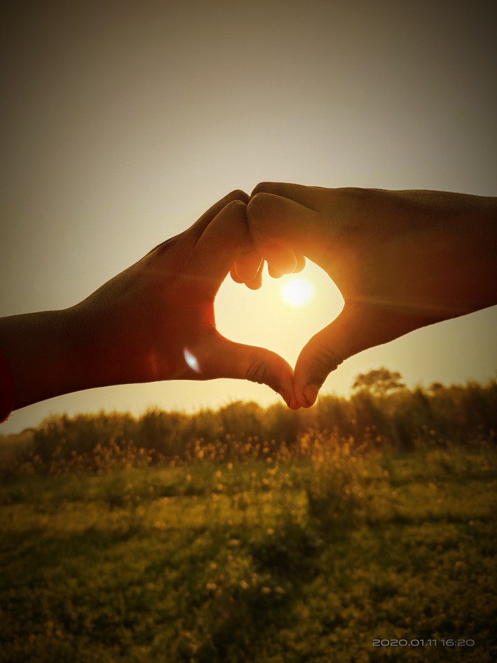 heart