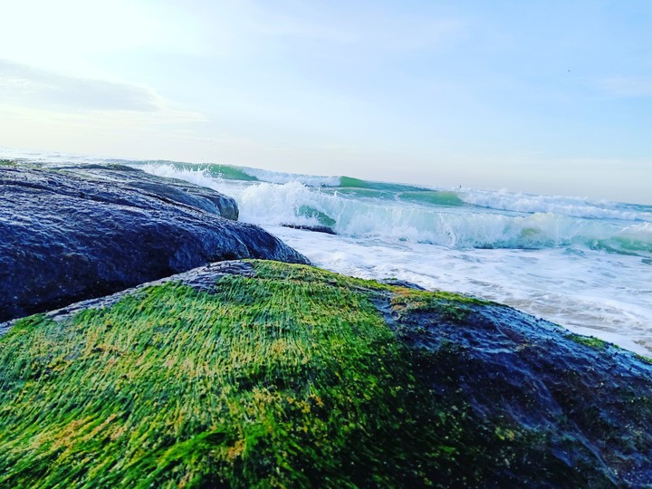 Sea