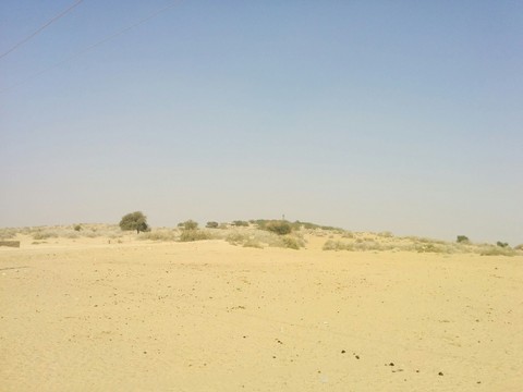 Thar Desert