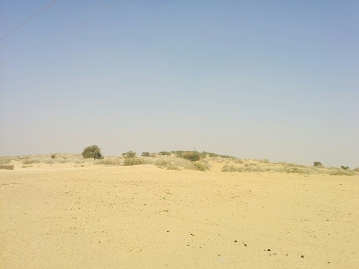 Thar Desert