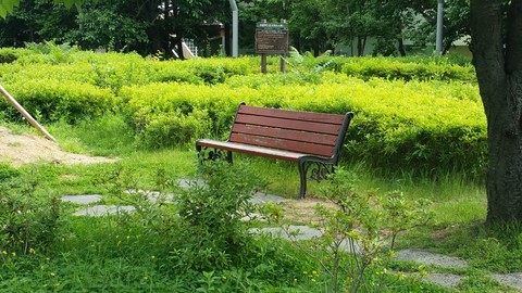 tapety Garden, shrub