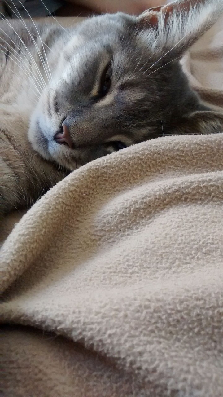 Smokey is tired..