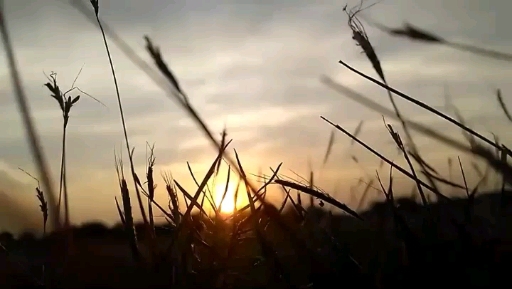 Meet me after sunset