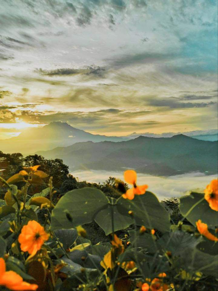 North Borneo