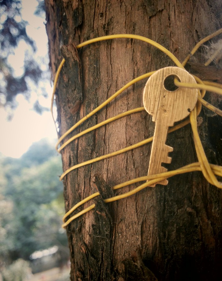 Key to the treasure